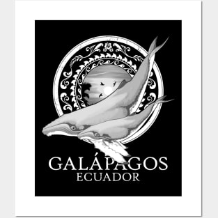 Humpback Whales Ecuador Galápagos Posters and Art